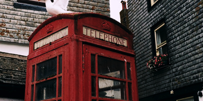 Objektfotografie am Beispiel einer Britischen Telefonzelle auf der eine Möwe gelandet ist, Cornwall in England